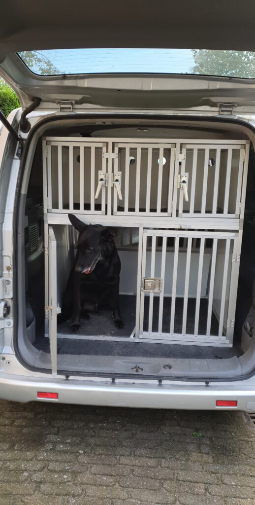 2 grote kennels en 3 kleinere kennels